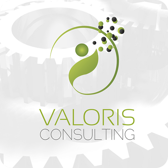 conseil-maintenance-industrielle conseil-maintenance-industrielle